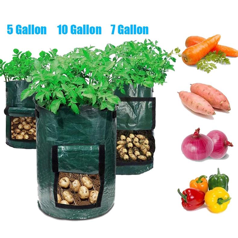 1 Breathable Window PE Potato Planting Bag