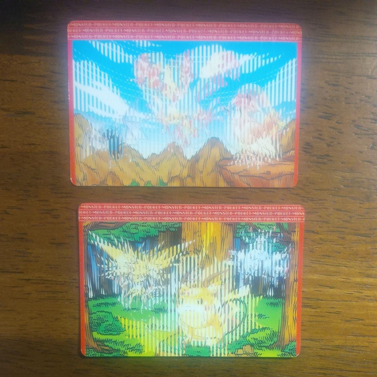 Used Pokemon Carddass 2 pieces set