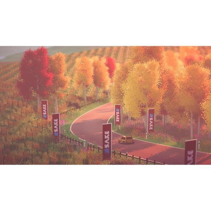 Jeu Vidéo - Art Of Rally - Deluxe Edition - Nintendo Switch - Course - PEGI 7+