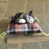 Cloth Plush Simulation Fur Cat Kawaii Kitty Cute Animal Doll Mini Sleeping Cats Toy  Home Decor
