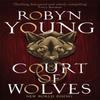 Court of Wolves by Robyn Young Paperback Book 9781444777789