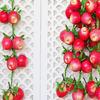 Artificial Vegetable and Fruit String for Different Settings Hanging Garlands
