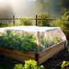 Zanzariera da Giardino per Piante, Copertura a Rete per Insetti, Verdura e Fiori, Rete per Piante, Rete da Giardinaggio