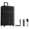 Newmine N528 15-inch Portable Trolley Bluetooth Speaker with Dual Mics (CN Version)