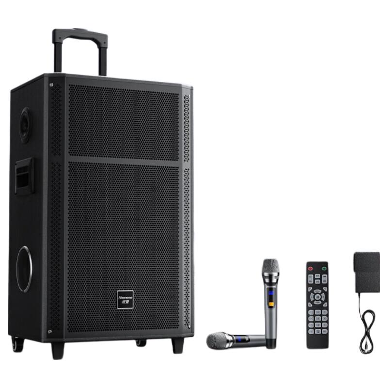 Newmine N528 15-inch Portable Trolley Bluetooth Speaker with Dual Mics (CN Version)