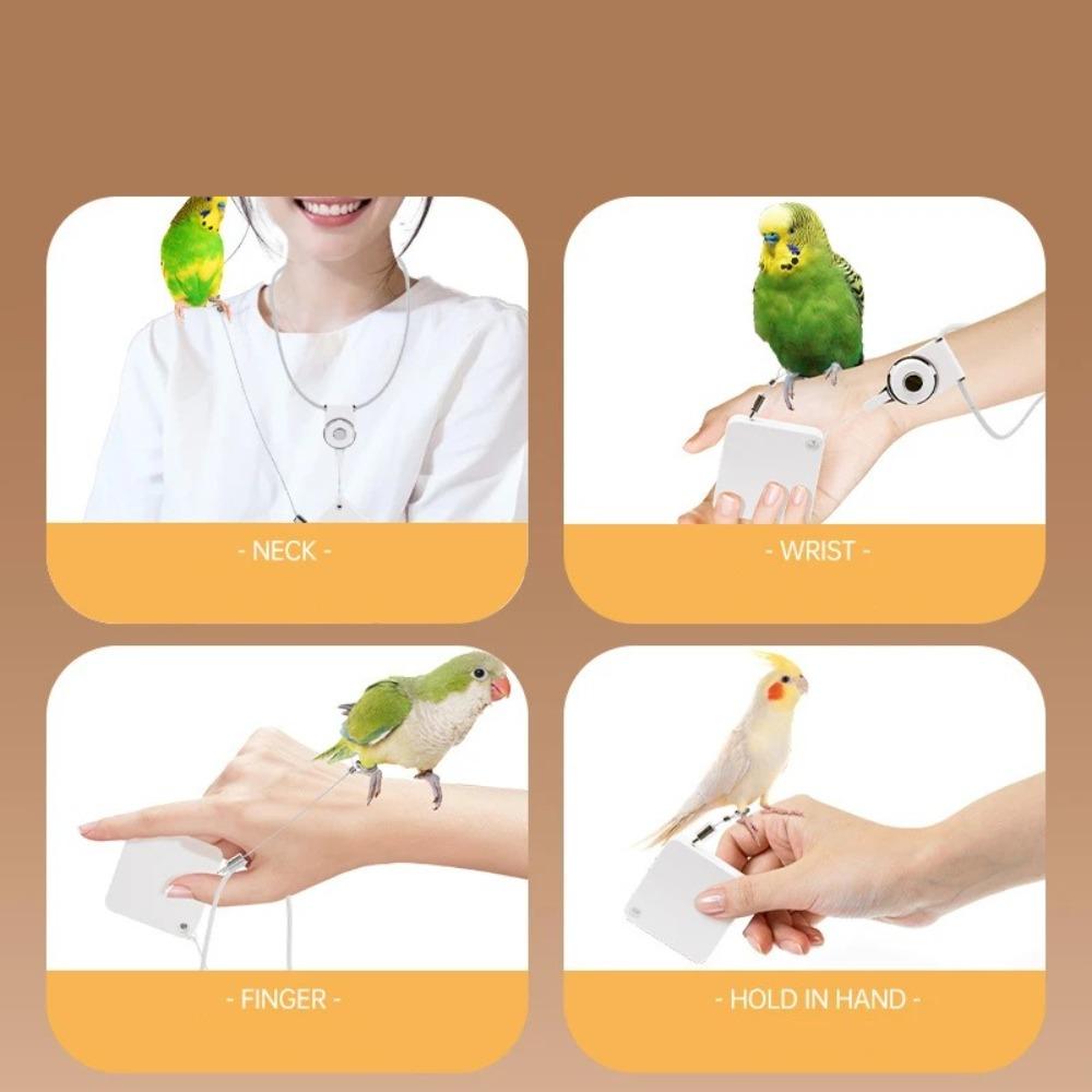 Auto Retractable Parrot Release Rope Adjustable Cockatiel Harness Leashes  Pet Accessories