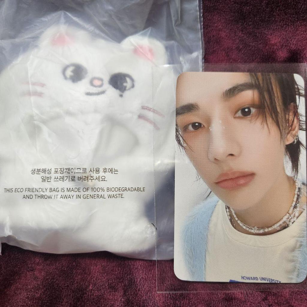 [USED] Genielet 10cm Plush Outfit Trading Card by Stray Kids