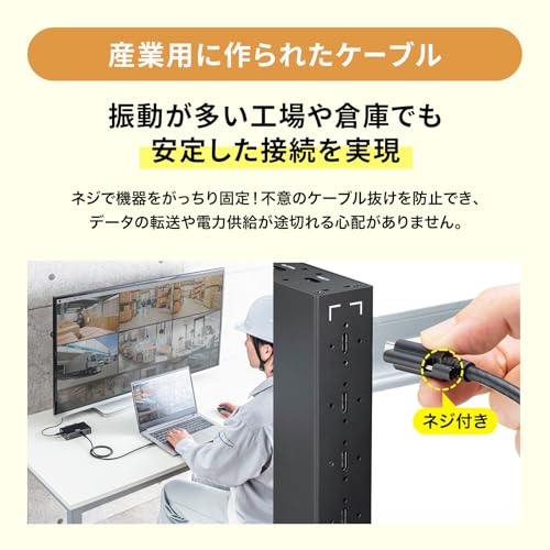 Sanwa Supply USB 20Gbps Type-C Cable (Single Screw Lock, 240W, 2m) KU-20GCCPESSL20