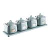 Zhinianhua 4-Piece Sealed Plastic Spice Jar Set