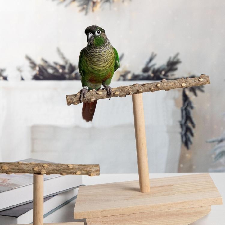 Standing Chewing Toy Hammock Small Bird Play Stands Wood Gym Stand Ladder for Healthy Development