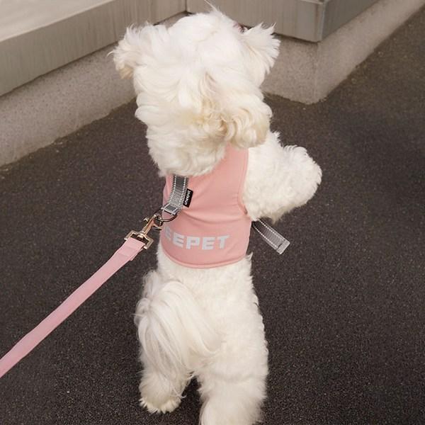 

Dog Boutique Шлейка для собак, комплект одежды, комплект свинцового поводка, нагрудный поводок, товары для прогулок, розовый