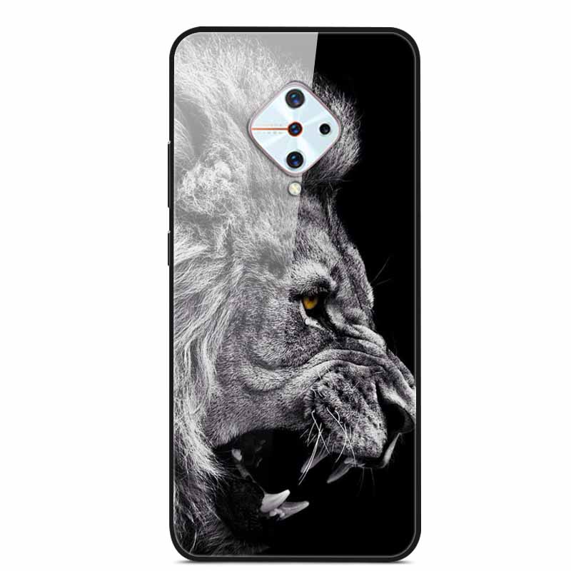 Tempered Glass Case For Vivo V17 Case Russia Glass Back Cover Soft Bumper For Vivo V17 Phone Cases V 17 Funda Y9s S1 Pro Coque