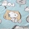 Nishikawa Snoopy Towel Single Made in Moisture 6216 93315 Single Blanket, 100% Cotton, Size, Summer, Japan, Absorbing, ZZZ/Blue [23]