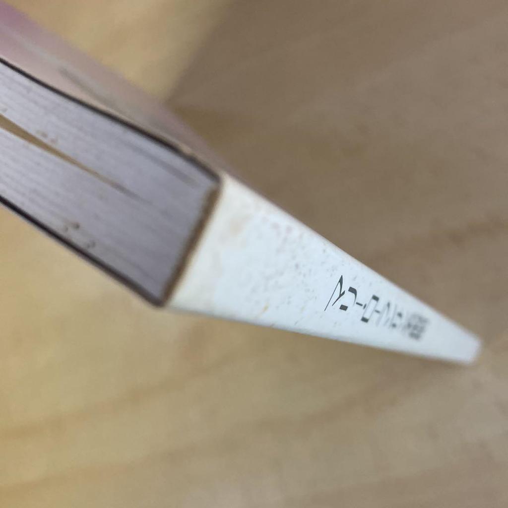 [USED] MUSÉE MARIE LAURENCIN Art Book Museum Catalog