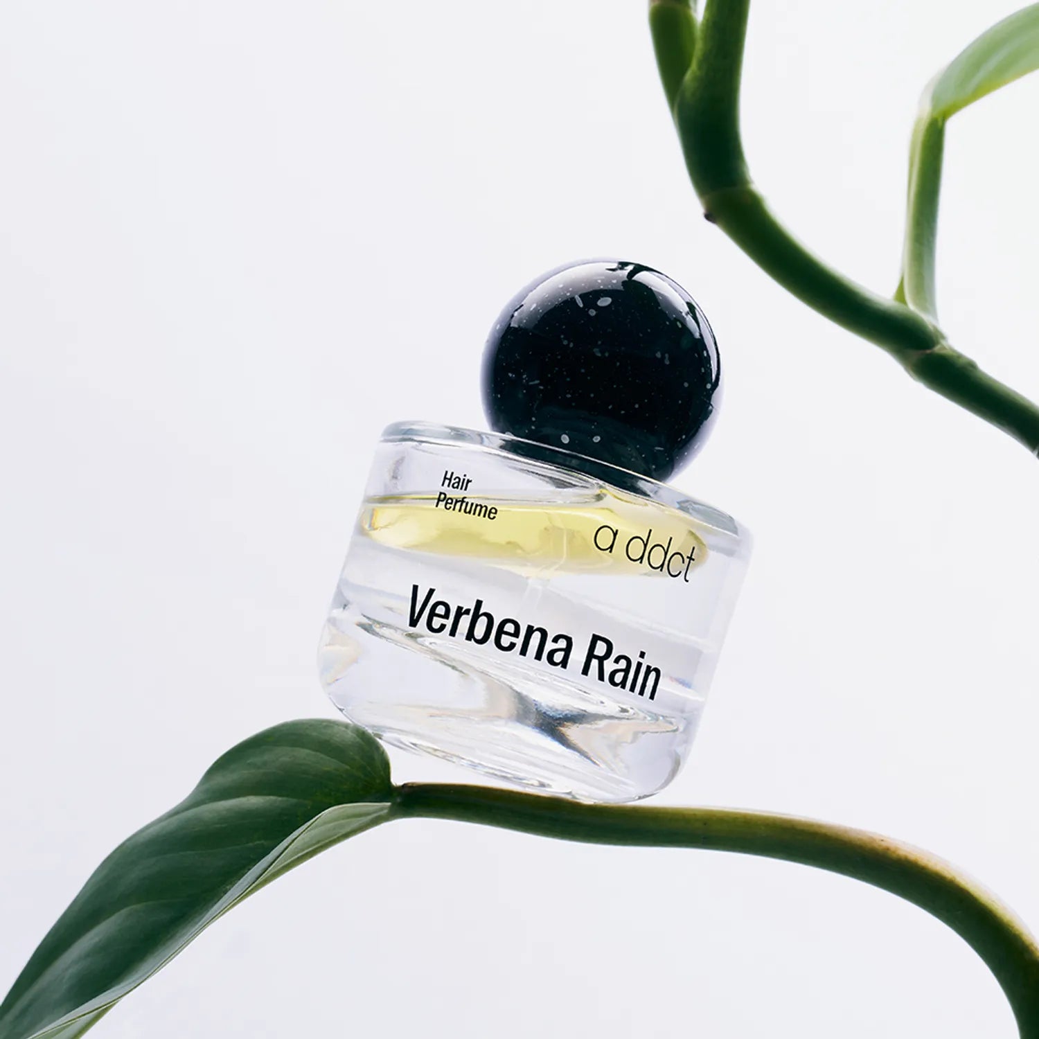 A ddict Hair Perfume 30ml #Verbena Rain 30ml