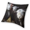 Federa Quadrata con Pecore Herdwick in un Fienile Cumbria Poliestere Lino Velluto Fantasia Zip Decorata Federa per Cuscino da Lancio Custodia per Cuscino da Stanza