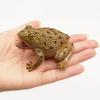 Simulated Frog Model with Lifelike Sound Stress Relief Realistic Toad Squeeze Toy Toddlers Educational Animal Prank Toy Gag Gift