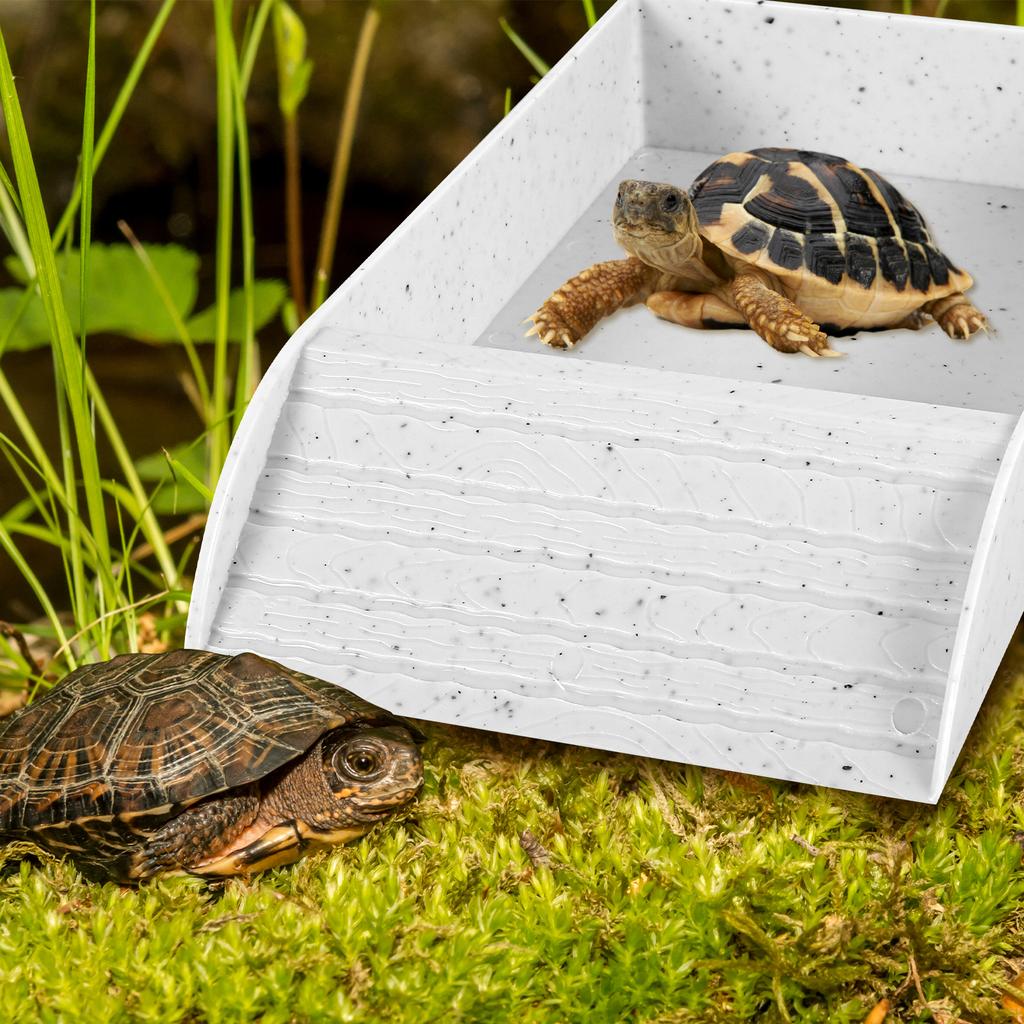 Tortoise Food Dish Plastic Turtle Food and Water Bowl Tortoise Habitat Accessory with Anti-Slip Ramp Turtle Reptile Bathing Pool