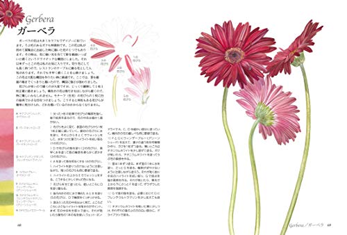 Botanical Color Palette