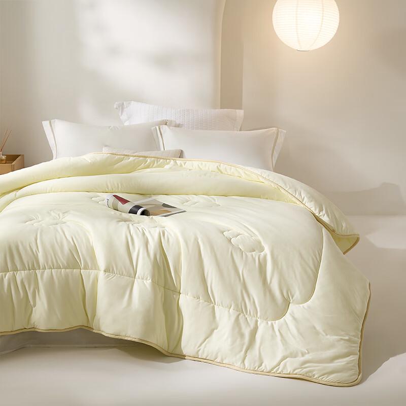 Luolai Ultra-Soft Breathable Winter Quilt