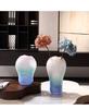 Cute Pink Blue Gradient Glass Vase Hydroponics Plant Pots Table Decoration Flower Arrangement Floral Vases Room Aesthetic Decor