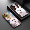 Cute Cartoon Rabbit Snowball Phone Case Matte Transparent For Iphone 16 15 Max 14 13 Mini 12 Pro 7 8 11 XR Xs X Plus Back Cover