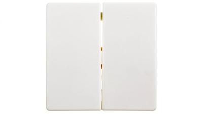 Berker Q.1 Double Key For Key Switch Snow White Velvet 16236089