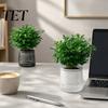 Clear Plastic Planters Self?Watering Planter Pot, Thick Transparent Flower Embossed Indoor Plant Pots Decorative for Hydroponic Houseplants