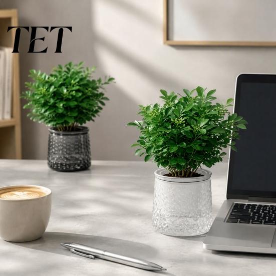 Clear Plastic Planters Self?Watering Planter Pot, Thick Transparent Flower Embossed Indoor Plant Pots Decorative for Hydroponic Houseplants