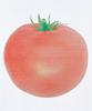 LAUGHER Tomato T-Shirt - White