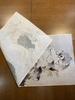 Ancient and Modern East and West Tenugui Nagasawa Ashiyuki Chrysanthemum Puppy Illustration Arrogance