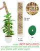 Plants Moss Pole Garden Subject Flower Plant Climbers Bonsai Accessories Pots Tutors ,for Planters Plants Growth Holder Support