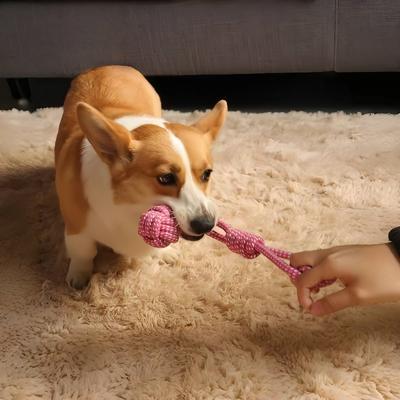 Köpek – Köpek oyuncakları