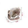 Scary Animal Skull Ornament Funny Cat Skull Statue Artificial Skull Head  Halloween Decor Gifts