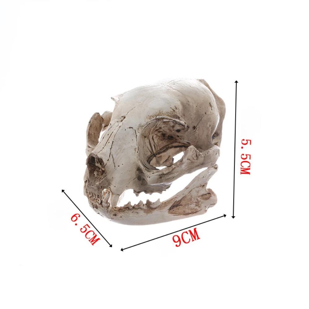 Scary Animal Skull Ornament Funny Cat Skull Statue Artificial Skull Head Halloween Decor Gifts