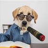 Funny Dog Toys Plush Squeaky Toys For Medium Small Large Cool Stuffed For Dog Birthday Relaxing Toys Pet Supply Resistant Biting
