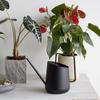KEINN 800ml Watering Stainless Indoor Gardening Watering for Easy To 800ML Can, Steel, Stylish, Tool, Can, Houseplants, Carry, (Black)