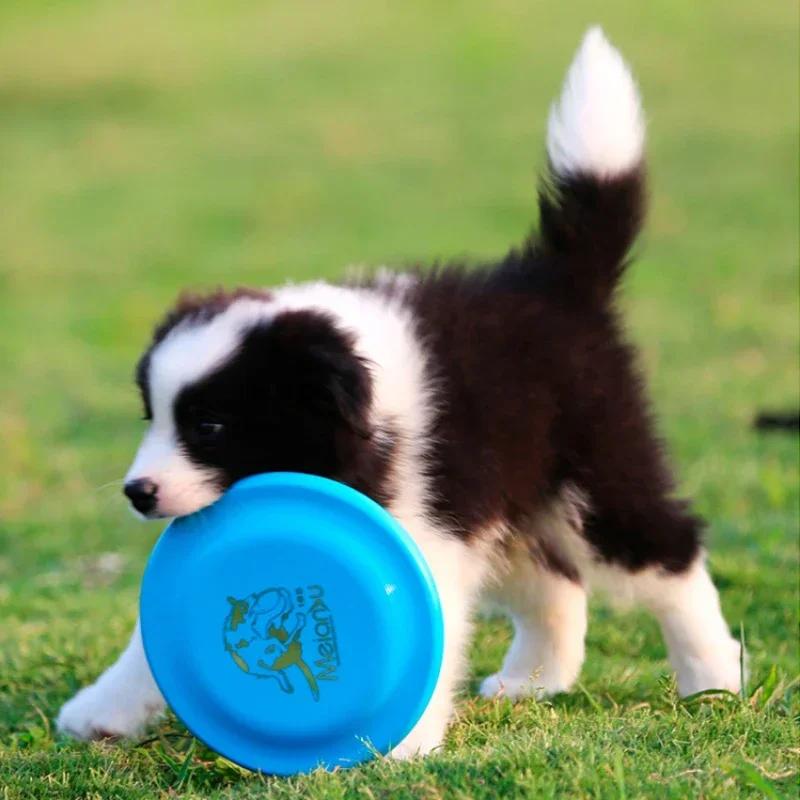 18,5 cm Fashion Pet Dog Silikonová hra Frisbeed Hračka pro psa Létající kotouče Tréninkové interaktivní hračky Potřeby pro domácí mazlíčky Létající kotouč