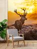 Wallpaper Deer At Sunset