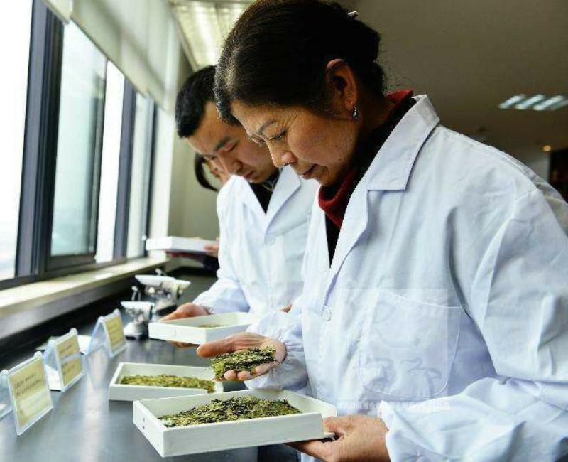 180gTop Grade West Lake Spring Longjing Green Tea Dragon Well Tea Long Jing Gift