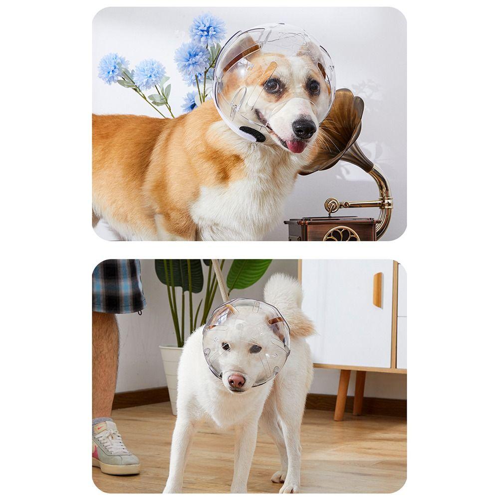 Transparent Dog Stop Barking Muzzle Anti-Bite Stop Barking Cat Dog Space Hood Pet Grooming Accessories Breathable