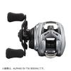 Daiwa Alphas SV TW 800HL Baitcasting Reel Gray Left-Handed [2021 Model] Black,