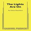 The Lights Are On by Owen Panettieri Paperback Book 9780573711275