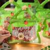 Christmas Tree Festival Gift Handle Bags for Candy Biscuit Cookies Chocolate Packaging Bags Birthdays Parties Holiday Decor