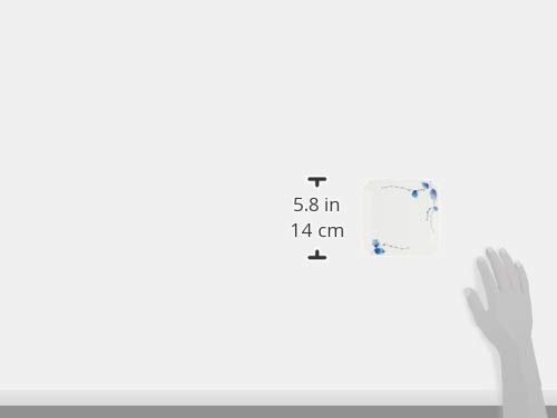 Arita Ware Matsuyuki Kiln Mizuhiki Grass Square Side Plate Set 52637