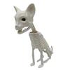 Halloweenské zvířecí kostry Pes Netopýr Žába Štír Pavouk Had Krysa Kostní kostry pro Halloweenskou párty Strašidelný dům Hřbitovní scéna Dekorace