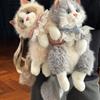 Cute Realistic Ragdoll Backpack Women Cat Plush Doll Small Capacity Daypack Lolita Cartoon Personality Mochilas Mujer Chic 2025