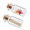Vials Glass Bottle Mini Containers Blank With Cork Stopper Transparent Message Bottles Tiny Small
