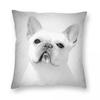 French Bulldog White Dog Square Pillowcase Polyester Linen Velvet Creative Zip Decor Home Cushion Cover