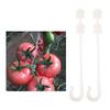 Garden Plants Support Clips Vine Pull Hook for Vegetables Cherry Tomato